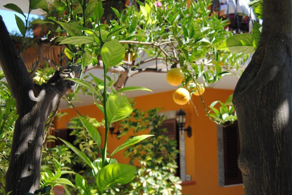 טאורמינה Residence Villa Il Glicine מראה חיצוני תמונה