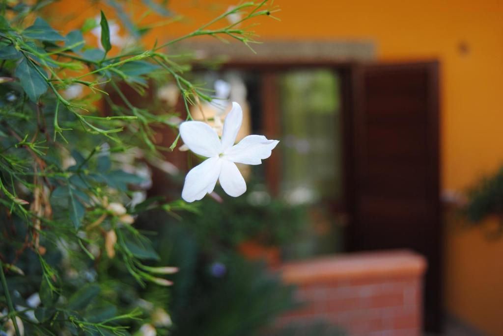 טאורמינה Residence Villa Il Glicine חדר תמונה
